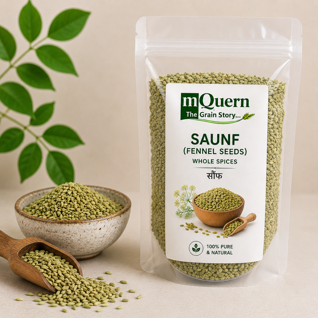 fennel / saunf seeds